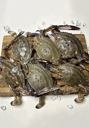 서해안 활 숫꽃게 1kg🦀 16,500원